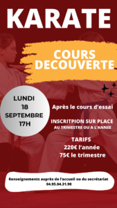 Lire la suite à propos de l’article Karaté, découverte